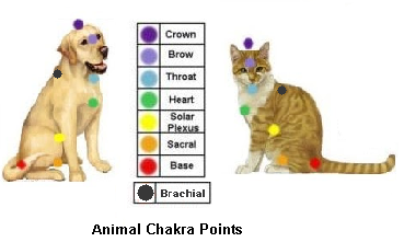 Animal chakra chart for cat and dog
